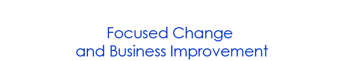 Focused Change and Business Improvement